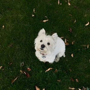 Meet your Posher, Meghan